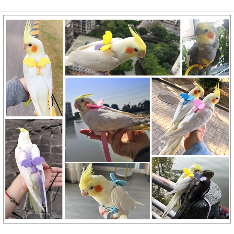 Parrot Flying Harness Leash Suit Macaw Accessories Stuff For Budgie Pet Bird Outdoor Flight Training Rope Cockatiel Supplies NEW