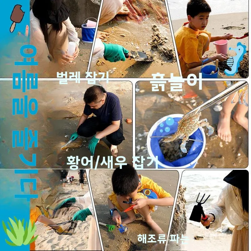 완벽한 해산물 채집 도구 세트, 해변 모래 게 잡기 어린이 장비, 조개 파기용 해변 삽, 조개 찾기용 갈퀴