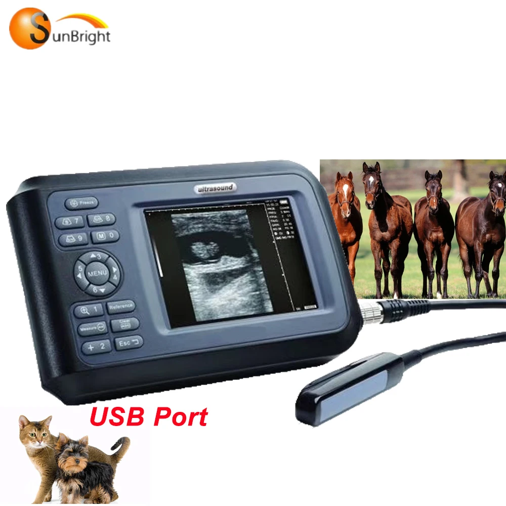 

Portable full digital veterinary ultrasound machine for