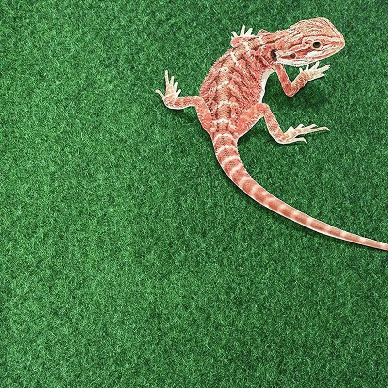 Reptile Carpet Pad Bed Mat for Reptile