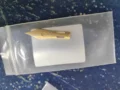 Golden nib
