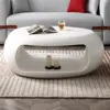 39.37'' Oval Fiberglass Coffee Table for Living Room in White 4
