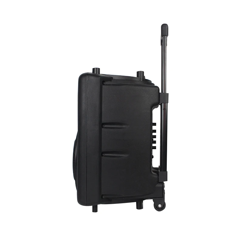 

High Quality Dj Rechargeable Portable Trolley Speaker With Usb