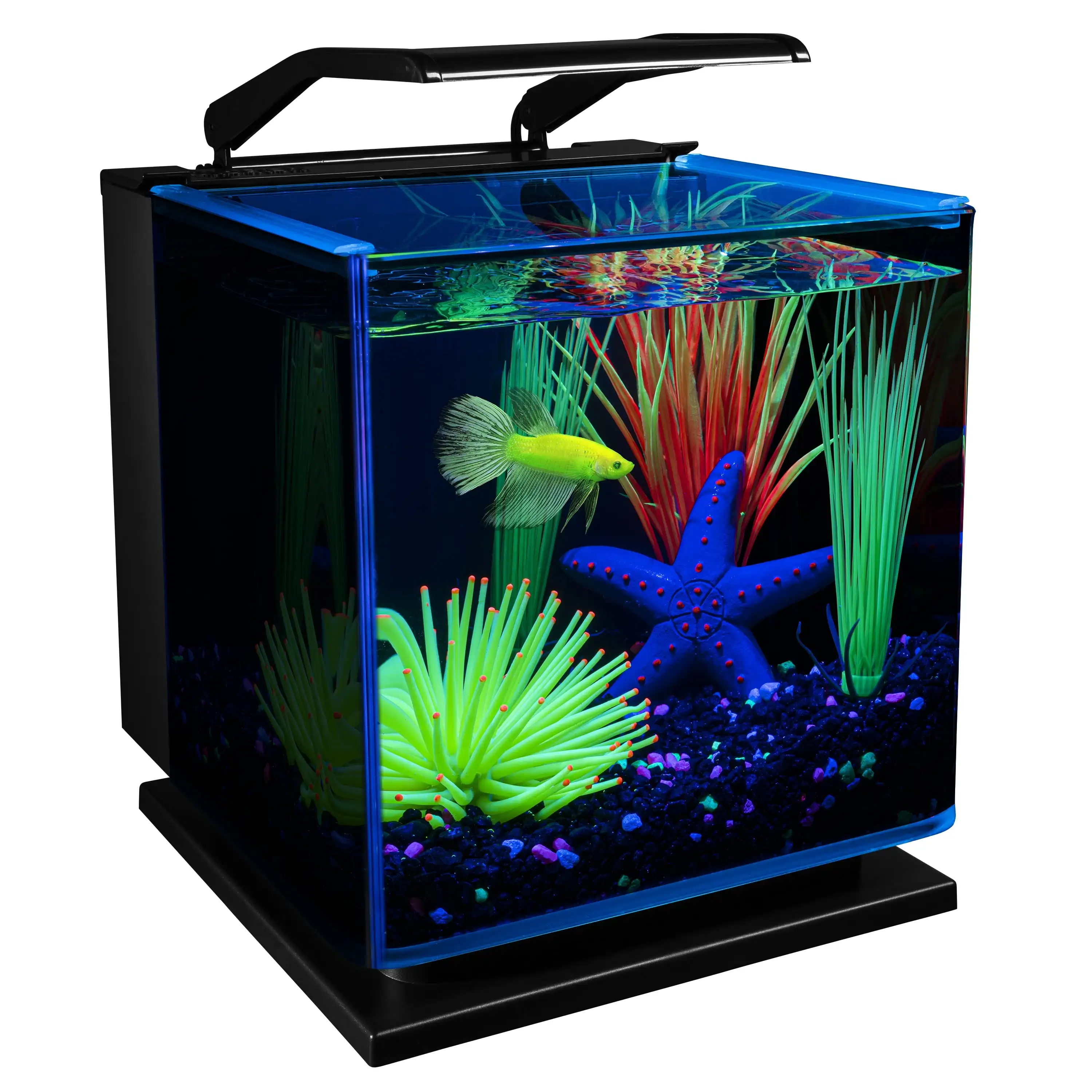 

GloFish Betta Shadowbox Aquarium Kit 3 Gallons, Includes LED Lighting