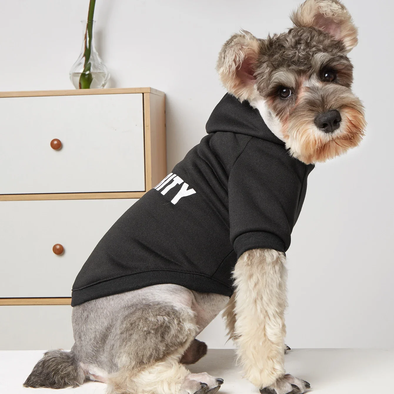 Warm Letter Printed Pet Apparel Detail