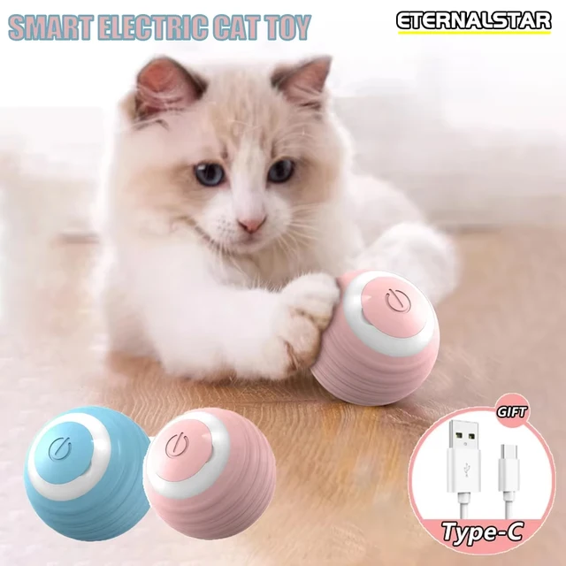 New Smart Pet toy 3