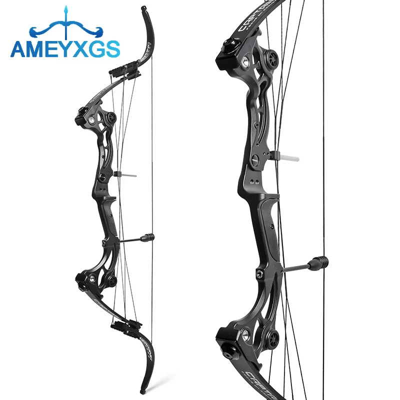 Branches D'arc Recourbé ILF 20-65lbs - Ameyxgs - Neuf Pour Arc Chasse Ou Cible
