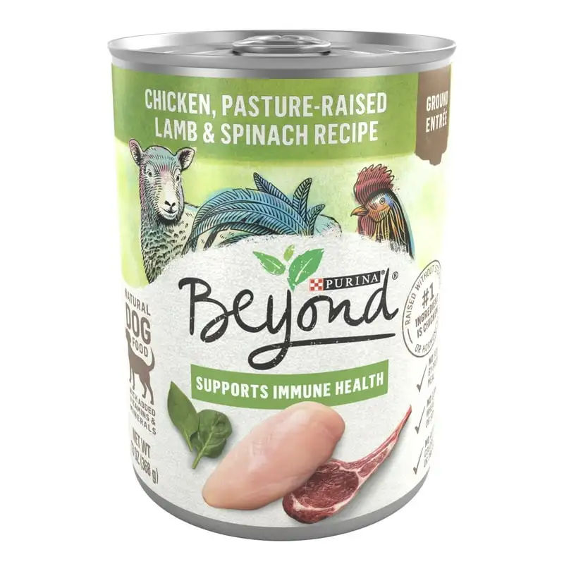 

Support Immune Health Wet Dog Food Chicken Lamb Spinach, 13 oz Cans (12 Pack)