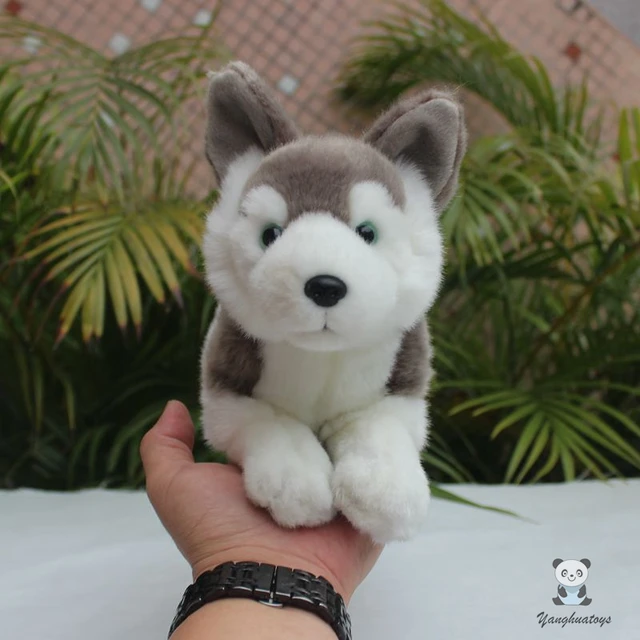 Real Life Plush Husky Toy Soft Stuffed Animal Cute Lying Dogs Dolls Kids  Toys Holiday Gifts For Girlfriend - Stuffed & Plush Animals - AliExpress