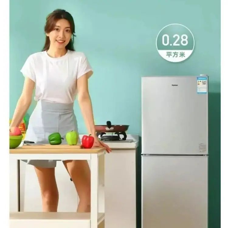 Haier Refrigerator Double Door Freezing and preserving Suitable for kitchen  Household Refrigerator mini fridge for room - AliExpress