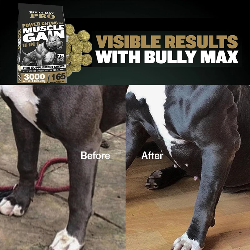 300G BULLY MAX 11 IN 1 MUSCLE GAIN Supplement For Dogs, Enhances Strength Endurance, Boosts Performance Training