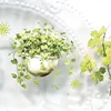 2m/Roll Spring Garden Country Style Trees and Grass PET Tape For DIY Sticker Scrapbooking Journal Collage Material 4