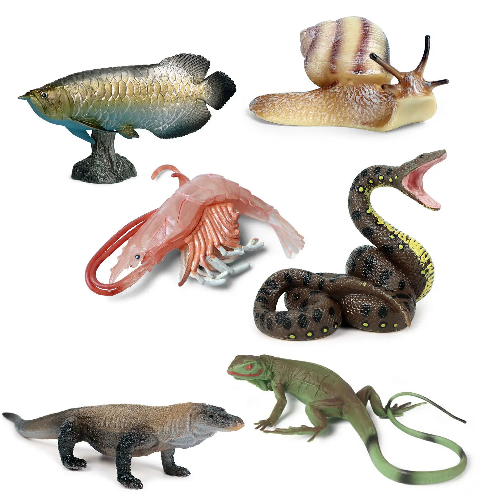 

6Pcs Animal Set Model Arowana Shrimp Snake Lizard Komodo Dragon Collector Decoration Kids Gift Realistic Educational Toy