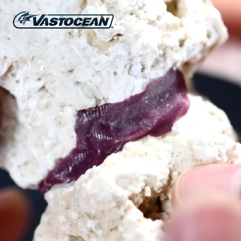 VASTOCEAN Calcium Algae Color Java Stone Color Magic Aquascape Gel Dead Rock Gel Fish Aquarium Powerful Fast Drying