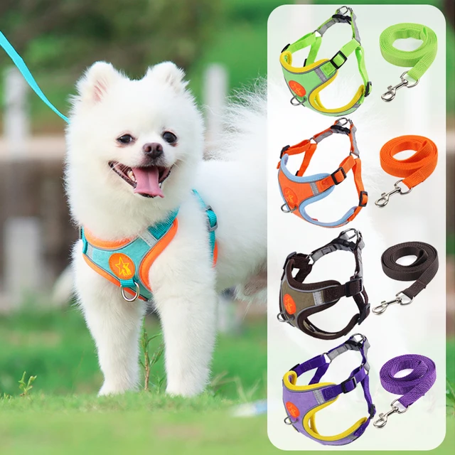 Dogs Adjustable Harness Leash Set for Small Medium Dogs Harness Vest Reflective Puppy Chest Strap Pet Walking Outdoor Supplies Dogs Adjustable Harness Leash Set for Small Medium Dogs Harness Vest Reflective Puppy Chest Strap Pet Walking Outdoor Supplies