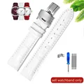 White-Steel-B1