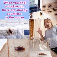 Eliminate cockroaches 2