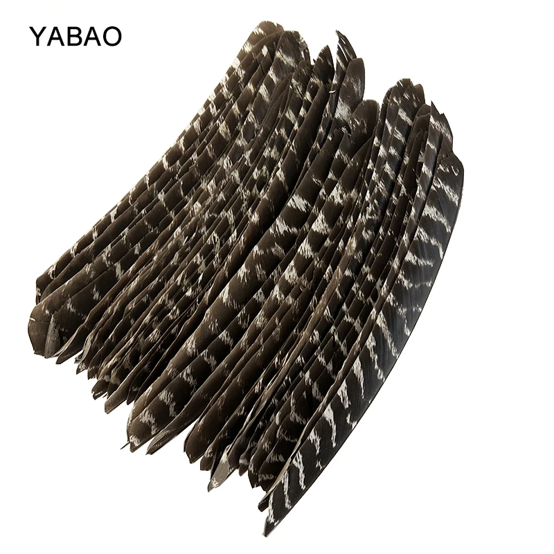 

7-10 Inch Full Length No Cut Natural Turkey Arrow Feathers for DIY Archery Fletches Fletching Right Left Wings