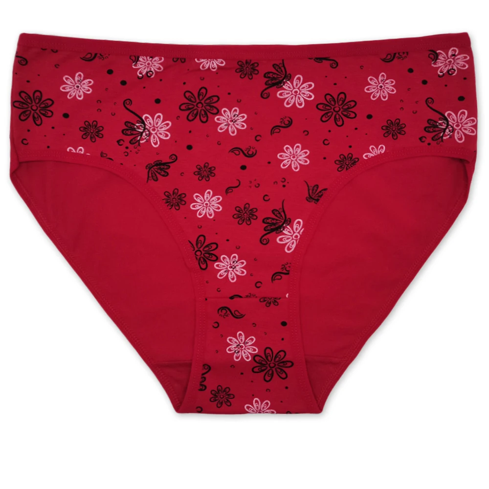 Women's Cotton Briefs 6 Pack Mid Rise Panties Image 7