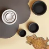 New Dog Accessories Mini Ceramic Pet Bowl Available in Black and White Eat and Drink Water Bowl for Puppy Dog Cat Pet Supplies 4