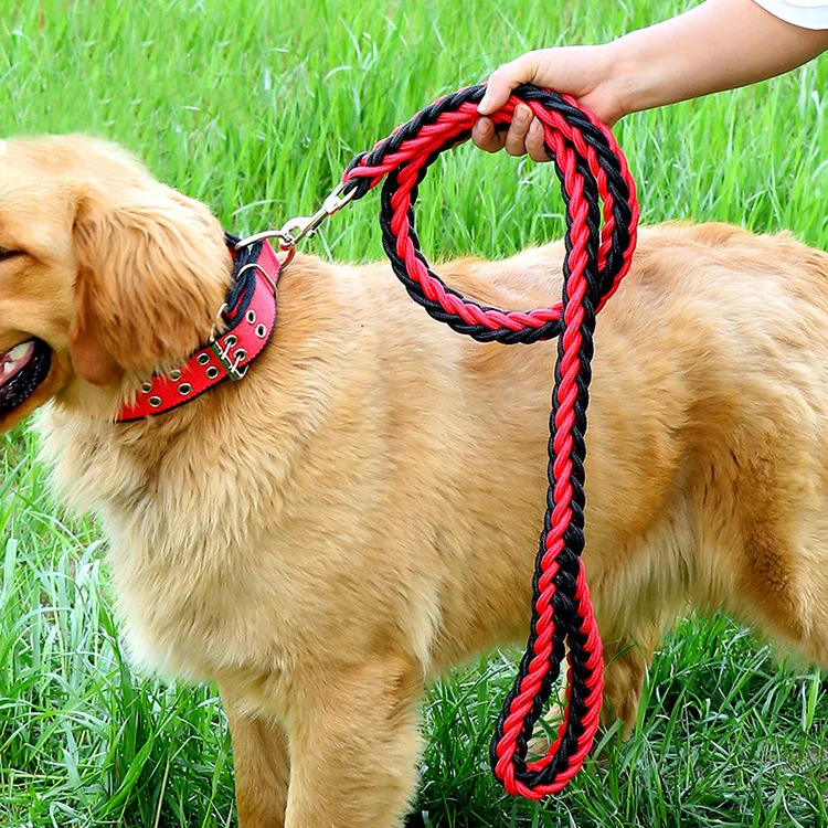 thumbnail image 1 of Juego de correa y collar de nailon duradero de 1,3 m para perros, cuerda de tracción, accesorios para pasear perros medianos y grandes, arnés para perros con cadena en P para labradores y huskys, 1 of 5