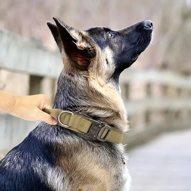 2025 NewPractical Dogs Collar Adjustable Duarable Nylon German Shepard For Medium Large Walking Training Pets Accessories 6