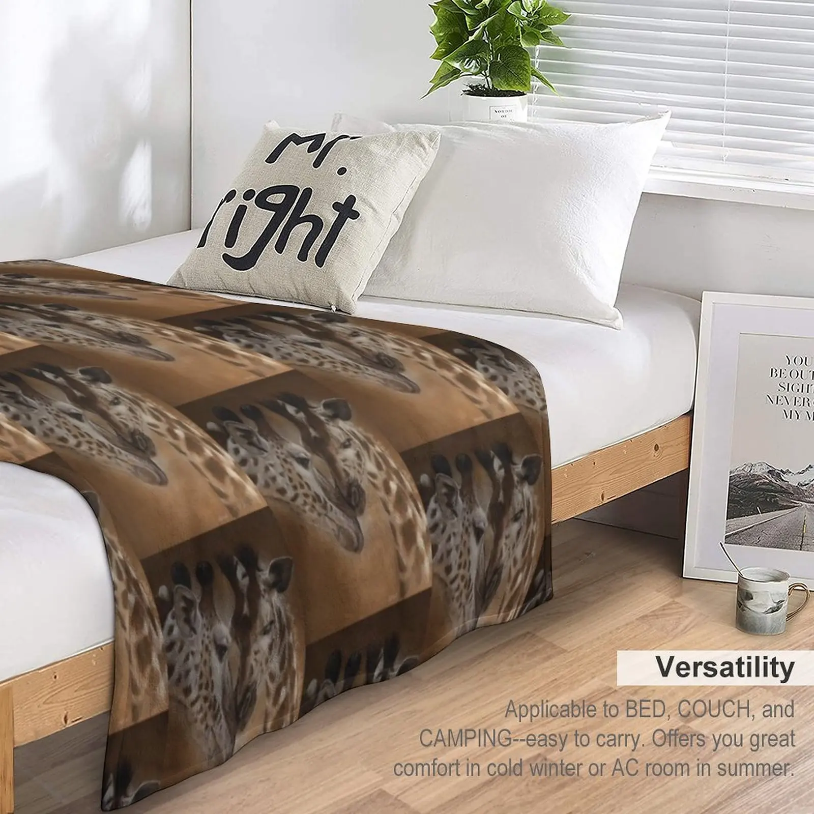 �⸰ ������ ���, ������ ���� ���, ����� ǫ���� ���