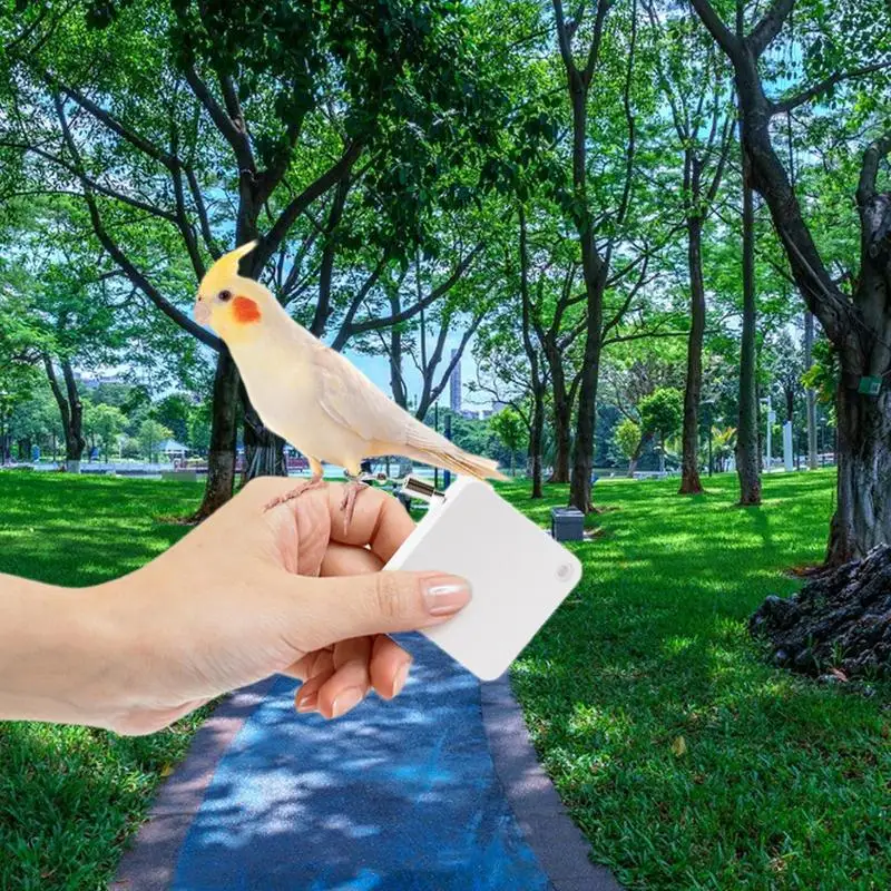 Parrot Leashes 2M Parakeet Leashes Bird Traction Rope Adjustable Outdoor Cockatiel For Birds Outdoor Training
