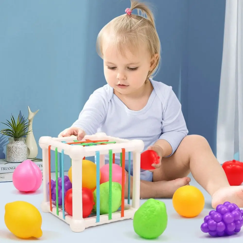 

For Kids Learning Sorter Children Montessori Baby Toys Educational Toys Development Board Baby Games