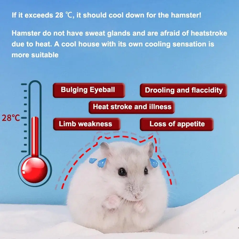 Hamster Summer Igloo Hamster Nest Escape House Air Conditioning Golden Bear Sleeping Nest Cooling Dwarf Guinea