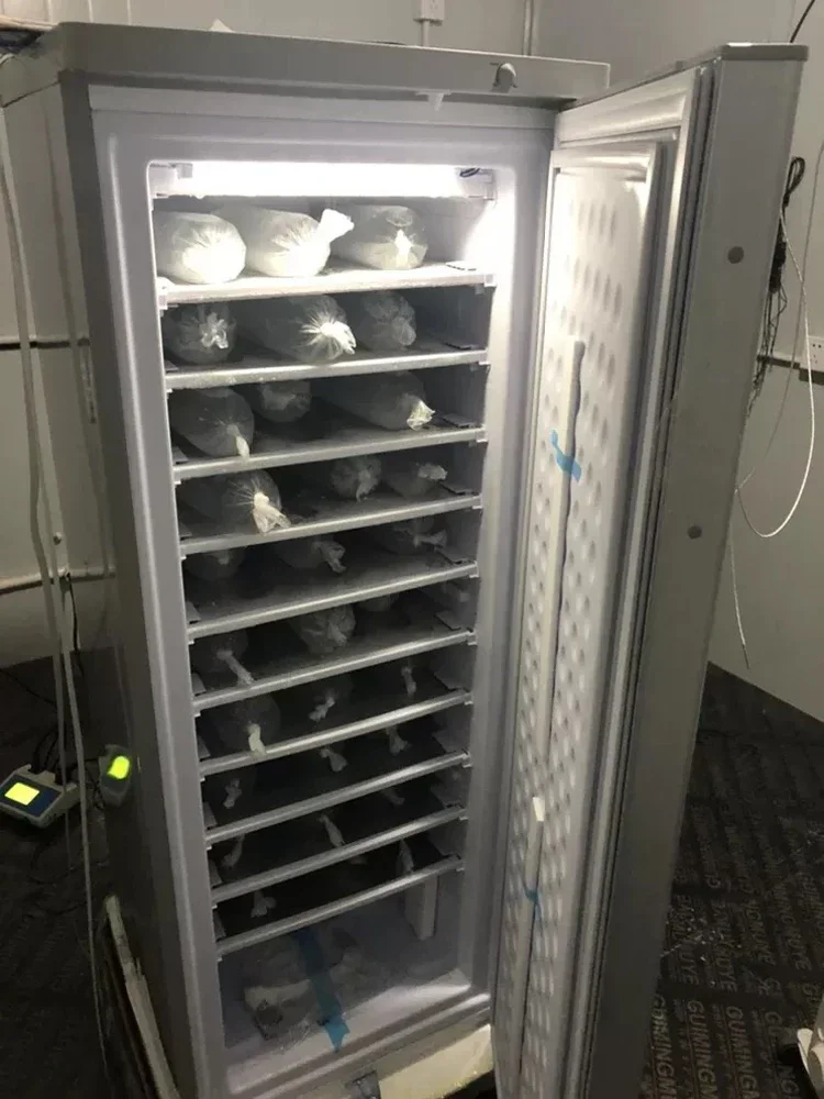 198L DC 24V Ice Block Upright Freezer 11lays/7 Lays Commercial Solar Panel Gel Battery 70kg Per 24 Hours DIY Solar Ice Maker 5