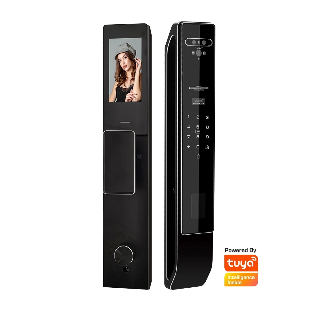 새로운 도착 디지털 지문 3D 얼굴 인식 Tuya APP 가정과 사무실을 위한 ..