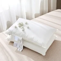 100% Mulberry Silk Five-star Hotel Feather Velvet Cotton Baby Standard Home Single Low Pillow Resilience Good Neck Protection 2
