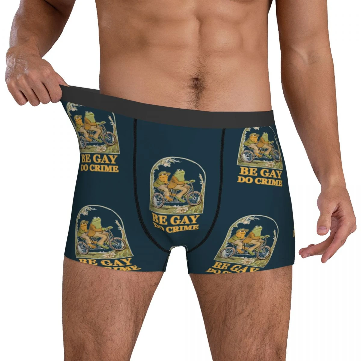 Ropa interior de Frog And Toad Be Gay Do Crime, calzoncillos suaves lgbtq lgbt para lesbianas, pantalones de aduana, bolsa 3D, de talla grande| | AliExpress