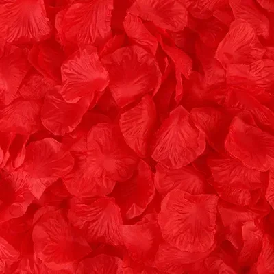 Colorful Romantic Silk Rose Petals for Wedding and Party Decorations
