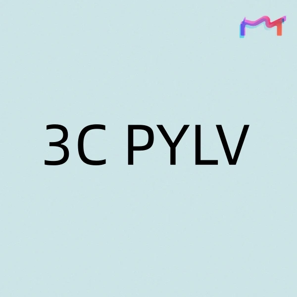 3C PYLV Store