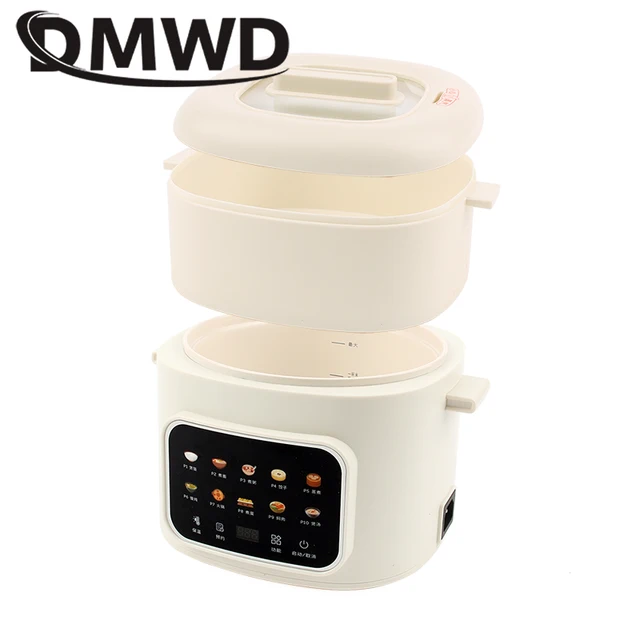 Marmite Électrique Multifonction : Cuiseur à Riz, Mijoteuse, Chauffe-Plats, Cuiseur à Nouilles Instantanées, Cuiseur à Pâtes, Cuiseur à Soupe, Cuiseur à Hotpot, Cuiseur à Œufs, Omelette, Poêle à Frire, Cuiseur Vapeur 1