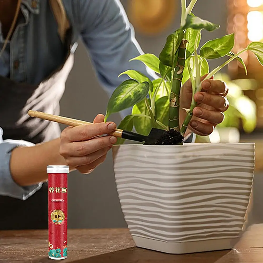 Description Picture 5 of itemSlow Release Fertilizer For Indoor Plants Organic Slow Release Fruit Tree Fertilizer 22 Tablets Plant Food For Flower