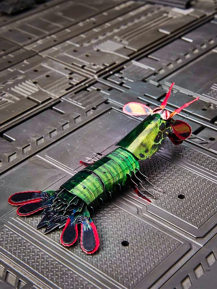 

Peppermint shrimp let's go finch-tailed mantis shrimp full metal DIY creative assembled model 3D three-dimensional puzzle insect