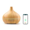 Meross HomeKit Smart Essential Oil Diffuser WiFi, Work with Apple HomeKit Siri Alexa Google Home 1