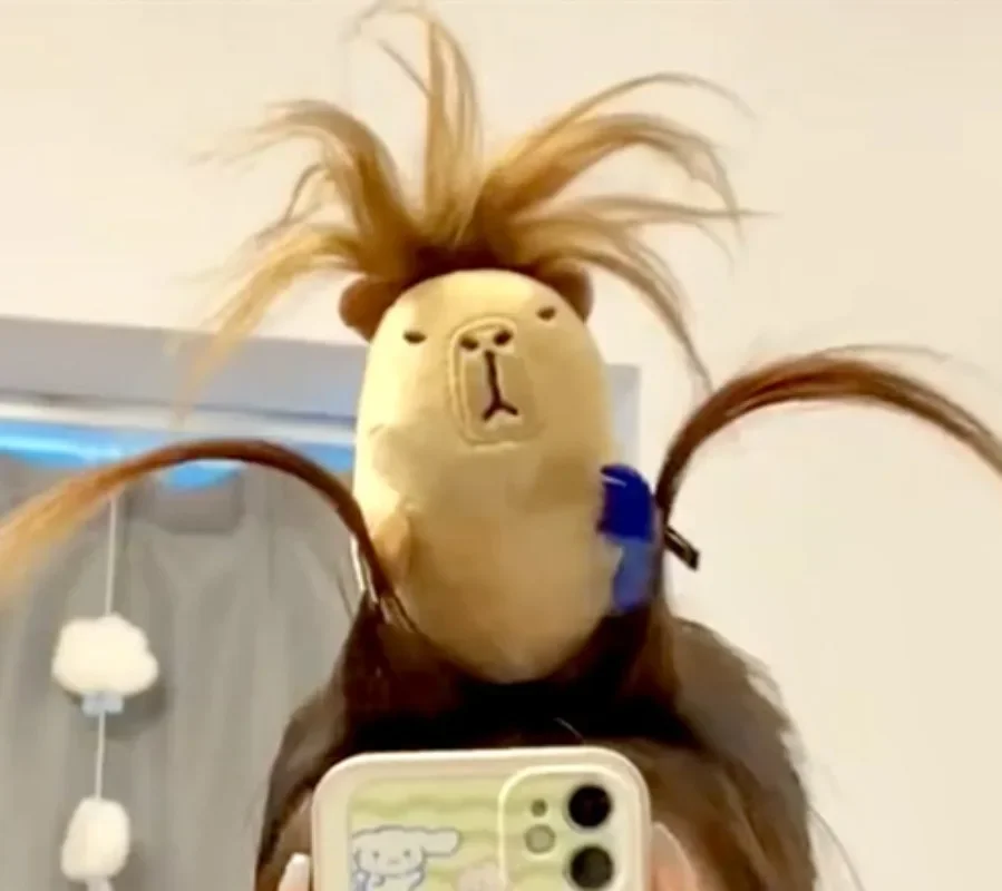 Grappige Capybara hoofdband voor dames, cartoon, dier