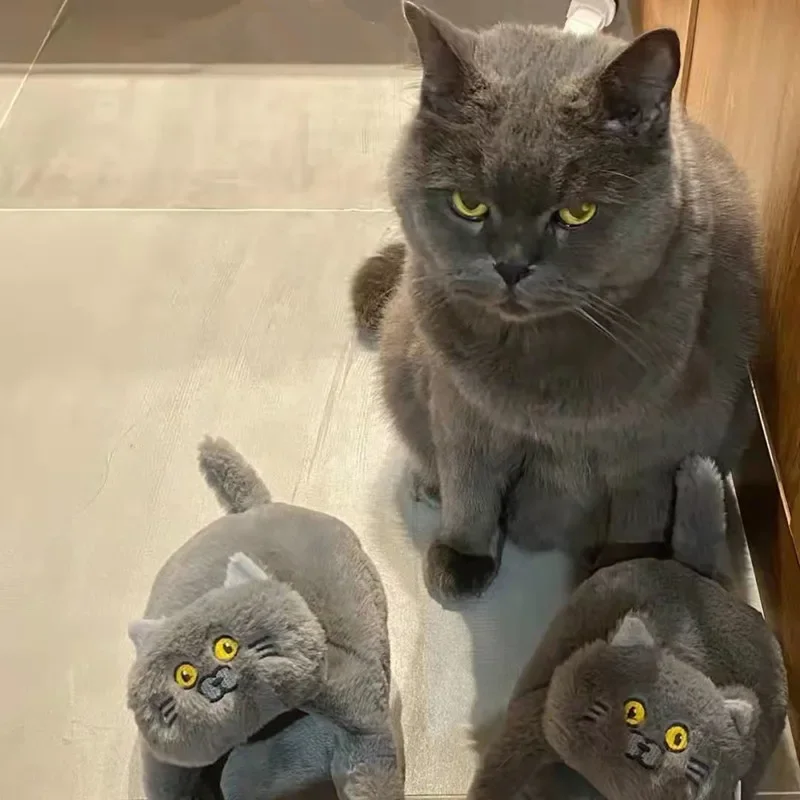 Cartoon Cat Slippers Women Men Winter Home Slides Kawaii Floor Shoes Furry Slippers Girl White Mules Funny Cute Gift Slippers