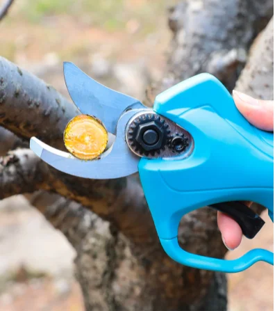Electric Pruning Shears Garden Scissors Fruit Tree Bushes Trimmer With High Altitude Extension Pole