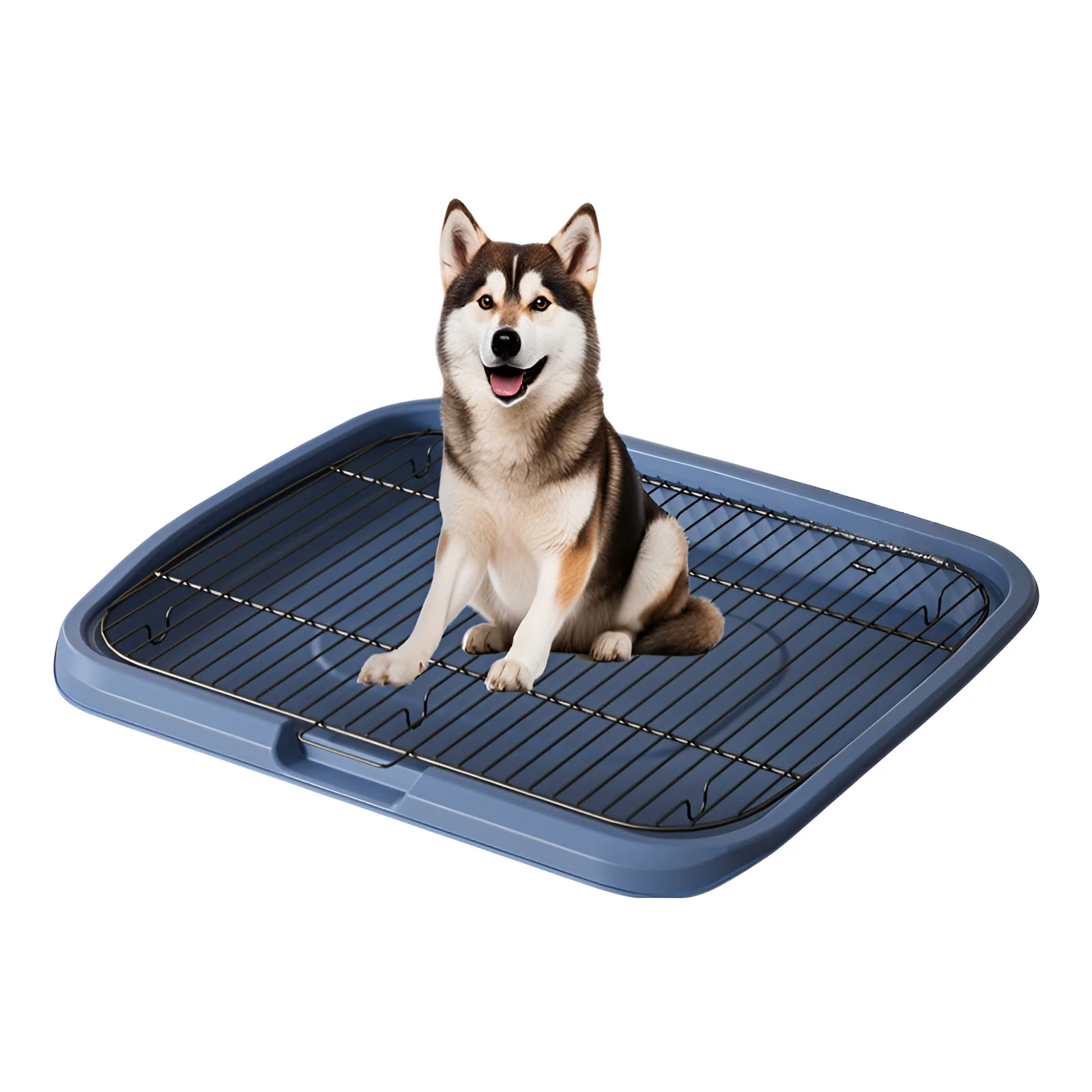 30kg-Navy blue