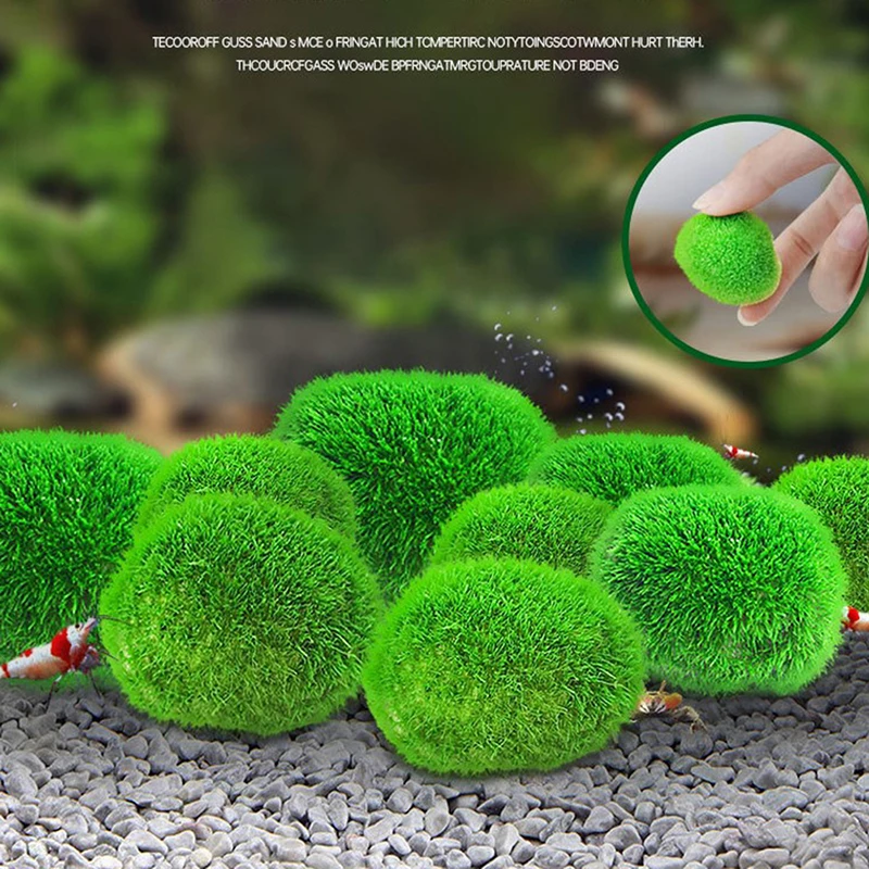 6PCS SML Marimo Moss Balls Live Aquarium Plant Algae Fish Shrimp Tank Ornament Simulation Green