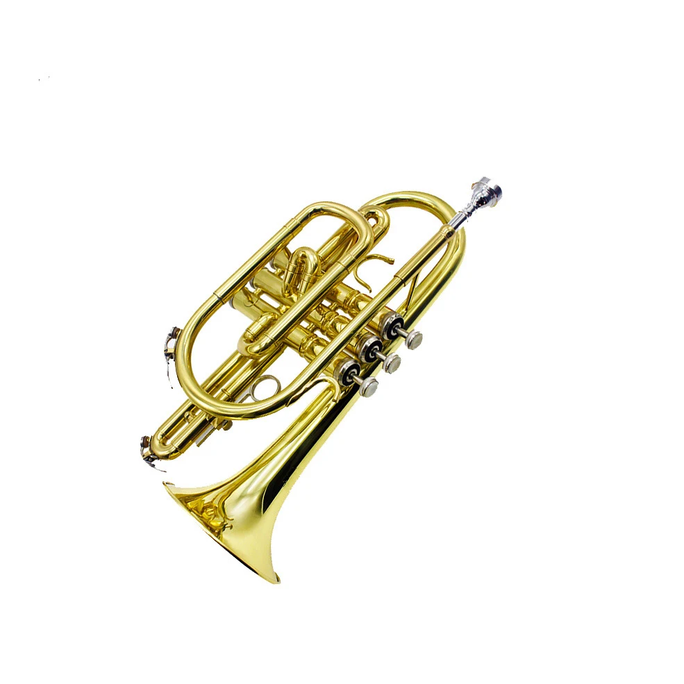 Cornet Lacquered Cornet Bb Cornet Brass Cornet Professional Wind Instruments Performance Instrument Cornet