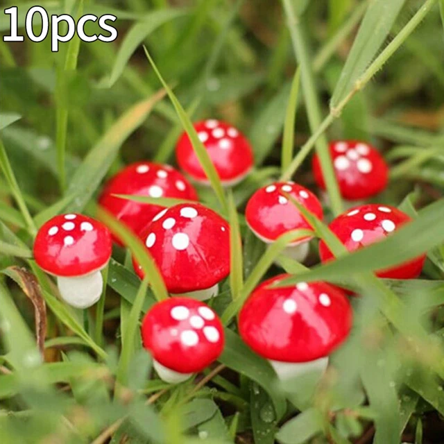 10Pcs