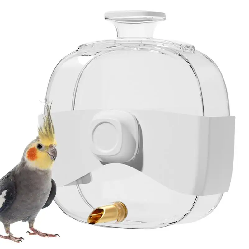 Bird Water Dispenser Parakeet Water Feeder Bird Waterer Automatic Bird Photo Inspiration