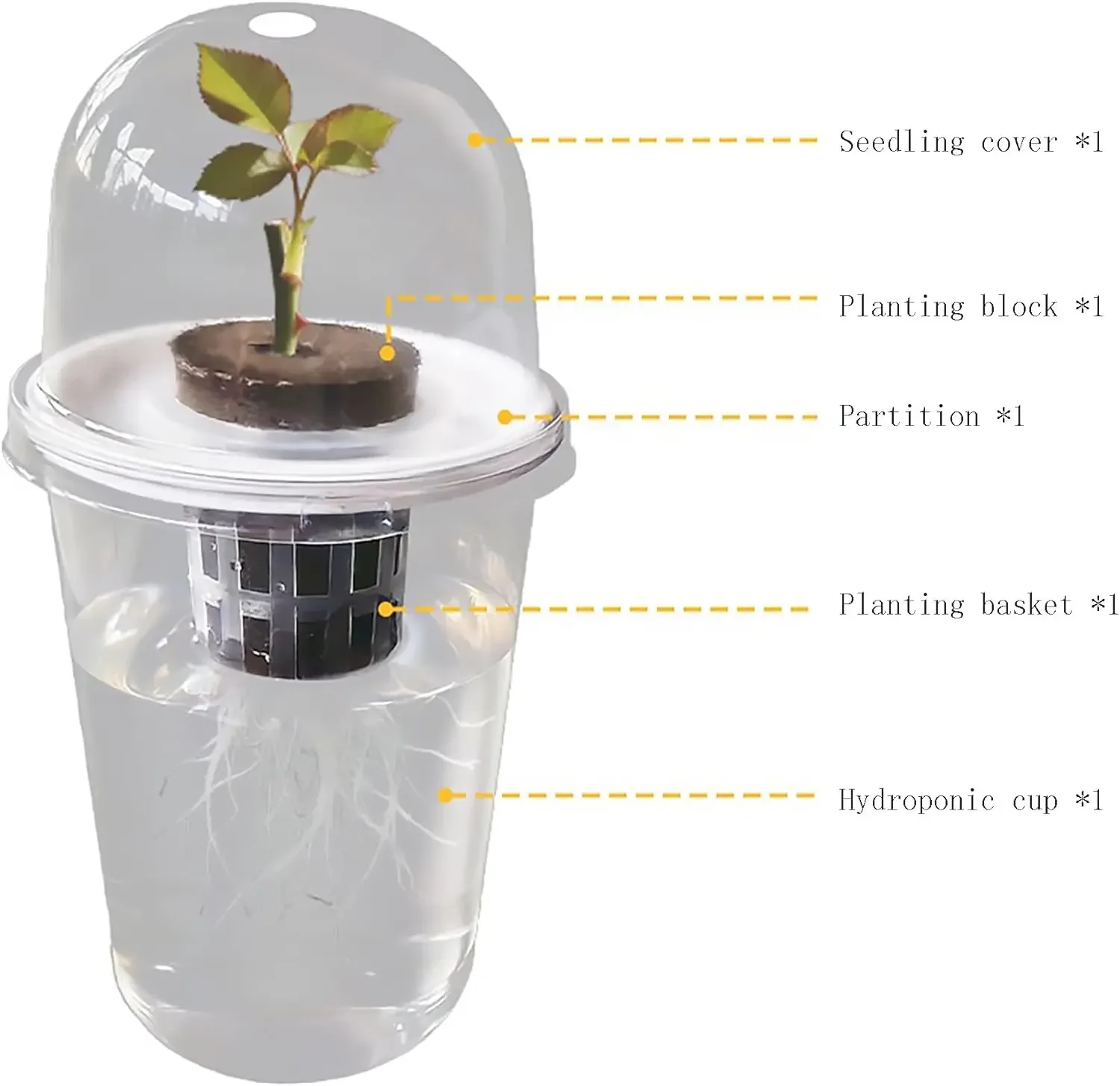 Transparent Cylindrical Plastic Hydroponic Pot