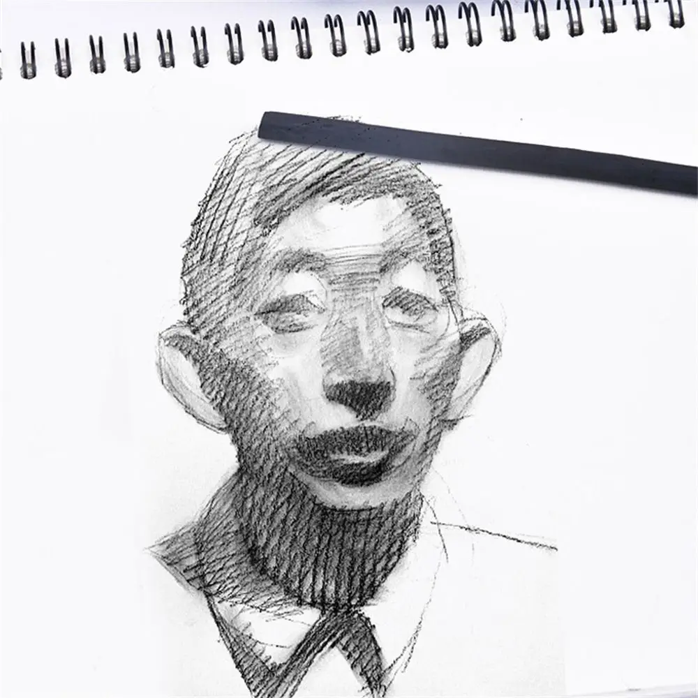 검정색 숯 스틱 버드나무 숯 덩굴 숯 숯 막대 전문가용 강력한 색상 드로잉 숯 연필